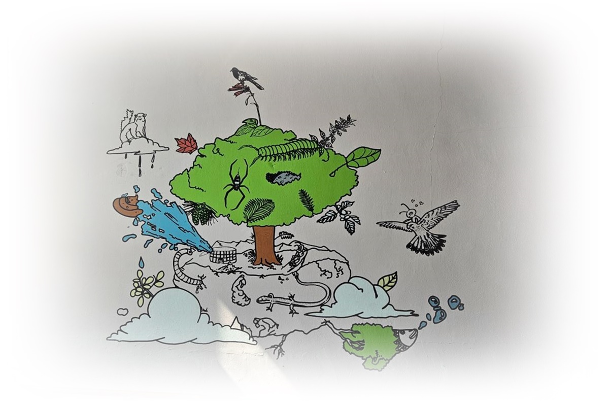 푸른 나무와 달빛